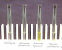 Colorimetric test for artesunate. From left to right: chloroquine, counterfeit artesunate, genuine artesunate, sulfadoxine-pyrimethamine. The genuine artesunate is distinguished by a positive yellow appearance. 