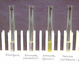 Colorimetric test for artesunate. From left to right: chloroquine, counterfeit artesunate, genuine artesunate, sulfadoxine-pyrimethamine. The genuine artesunate is distinguished by a positive yellow appearance.