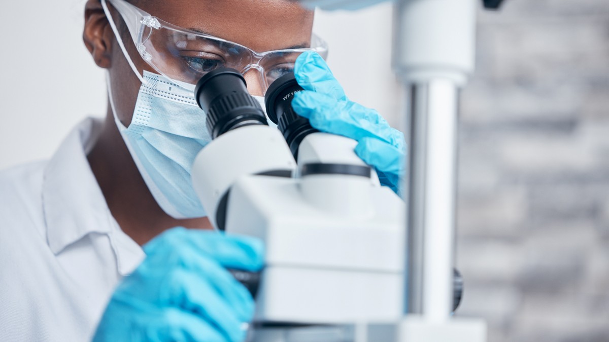 A scientist examines a blood smear under a microscope.