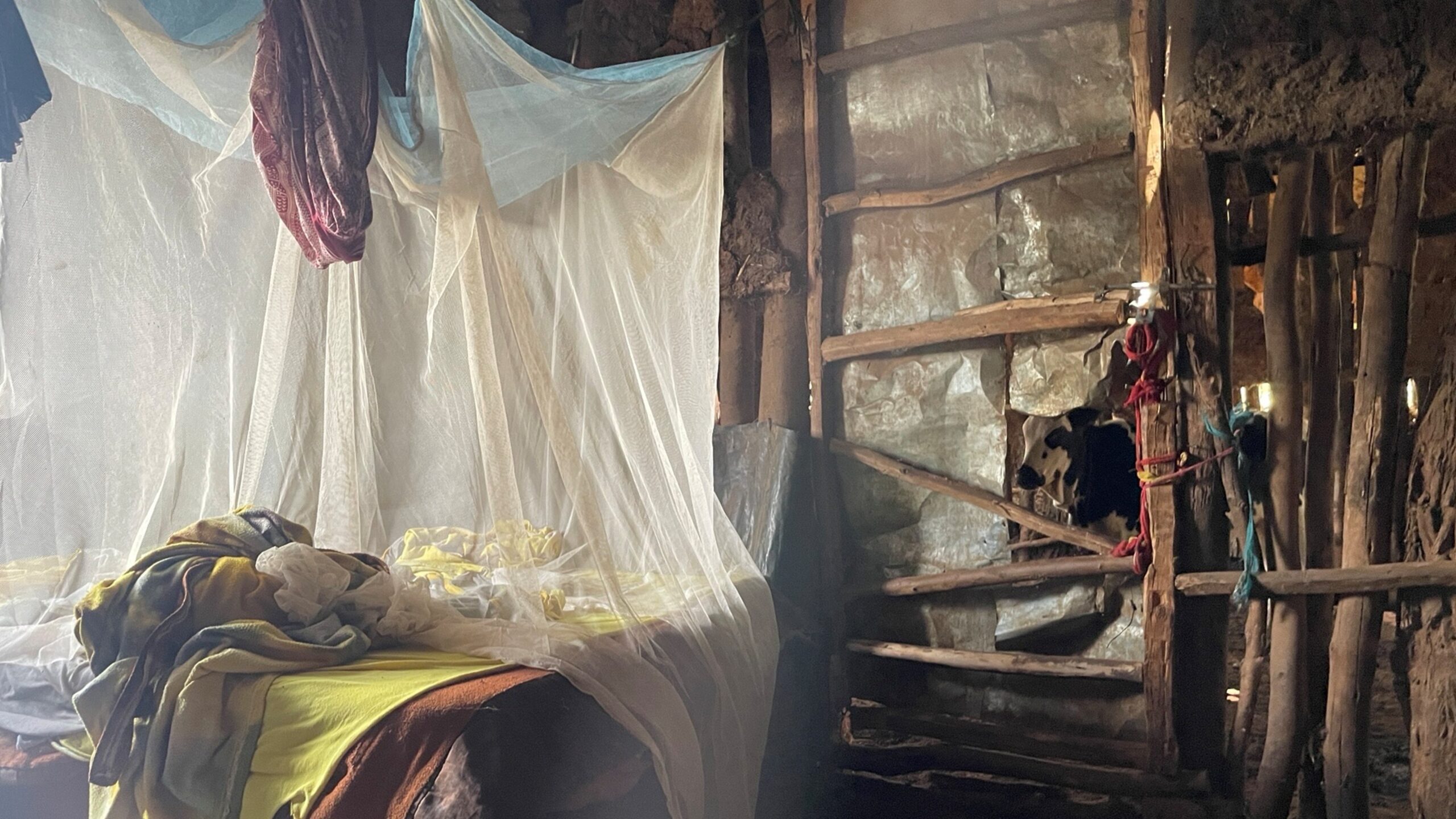 An insecticide treated bednet is used in a rural home.