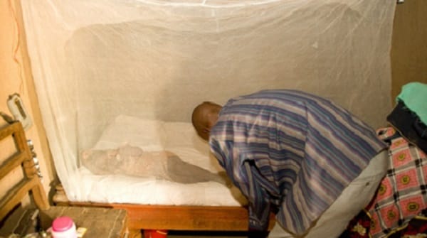 malaria bed nets