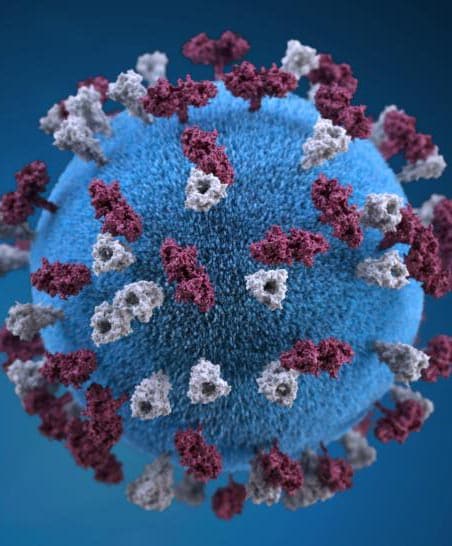 Representación gráfica en 3D de una partícula del virus del sarampión, que tiene forma de esfera y protuberancias de glucoproteína incrustadas.