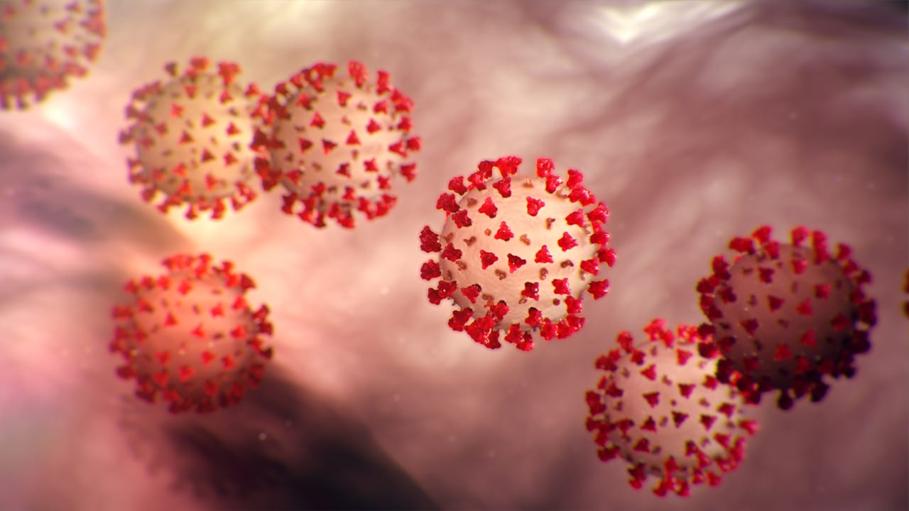 Image result for Coronavirus