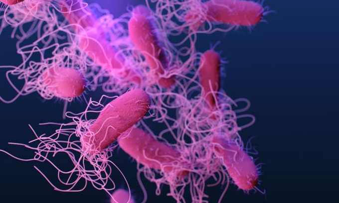 CDC warns of multistate Salmonella outbreak tied to Live it Up Super Greens supplement powder