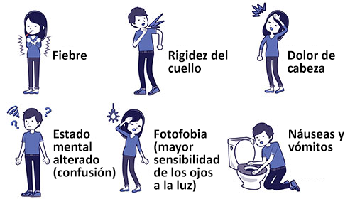 Noticias Que Es Meningitis Sintomas Noticias Que Es Meningitis Sintomas