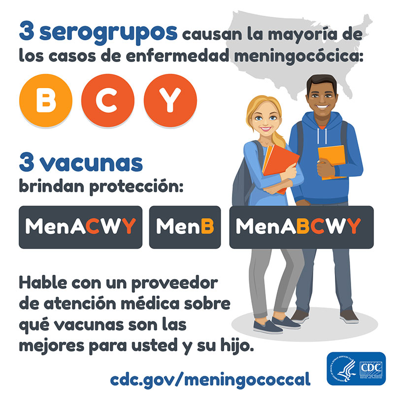 Los serogrupos B, C y Y causan la mayoría de los casos de enfermedad meningocócica. Las vacunas MenACWY y MenB brindan protección.