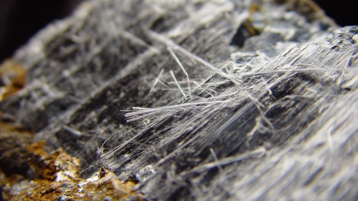 Fotografía ampliada del amianto, que muestra sus finas fibras