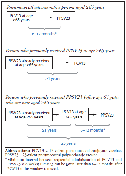 Prevnar 13 Vs Pneumovax 23 Chart