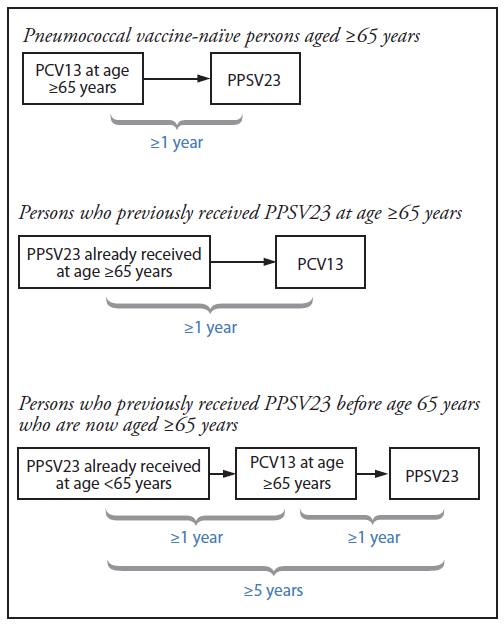 Prevnar 13 Vs Pneumovax 23 Chart