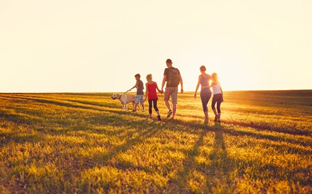 The figure shows a family with a dog walking in a field at sunset.