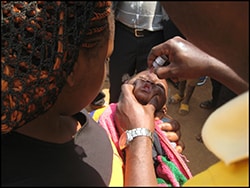 The figure above is a CDC photograph showing an infant receiving polio vaccine.
