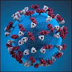 The figure above is a 3D graphical representation of a spherical-shaped, measles virus particle.