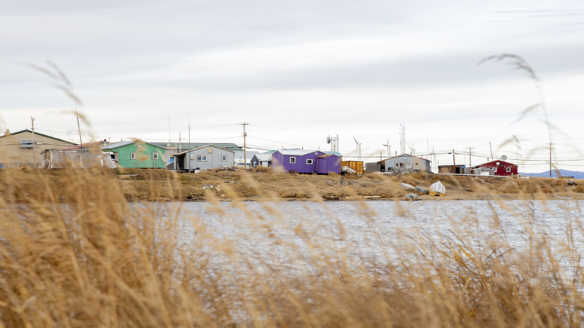 Newly Reported Chronic Hepatitis C Among Adults — Alaska, 2016–2023 The image shows houses in a remote village in Alaska.