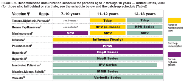 FIGURE 2. Recommended immunization schedule for persons aged 7 through 18 years � United States, 2009
(for those who fall behind or start late, see the schedule below and the catch-up schedule [Table])