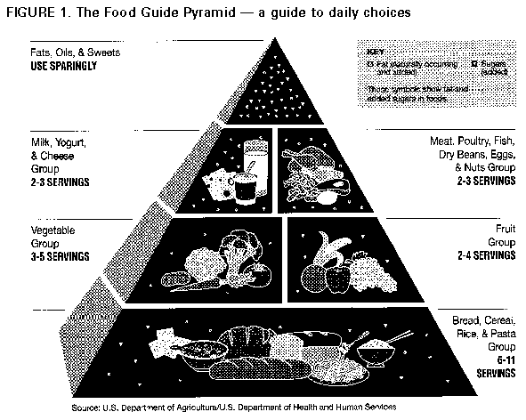 Food Pyramid Lessons Middle School - food pyramid quiz ...