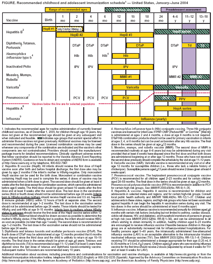 Florida Child Immunization Chart