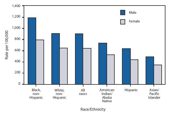 The figure shows age-adjusted death rates by sex, race, and Hispanic origin for the United States in 2007. In 2007, the mortality rate was lowest for the Asian and Pacific Islander female population and highest for the non-Hispanic black male population. For each race/ethnic group, the death rate was substantially lower for females compared with males.