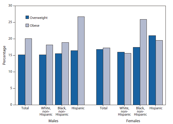The figure shows the prevalence of overweight and obesity among youths aged 6-19 years, by race/ethnicity and sex, in the United States during  2007-2008. Obesity was more prevalent among Hispanic males aged 6-19 years (26.7%) than non-Hispanic white (18.2%) and non-Hispanic black (18.9%) males. Obesity was more prevalent among non-Hispanic black females (25.9%) than non-Hispanic white females (15.6%). No significant differences in prevalence of overweight by race/ethnicity were observed among either males or females aged 6-19 years.