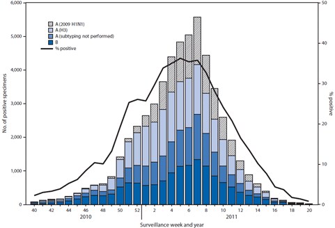 The figure above shows the number and percentage of respiratory specimens testing positive for influenza by type, surveillance week, and year in the United States from October 3, 2010-May 21, 2011, according to the World Health Organization and National Respiratory and Enteric Virus Surveillance System collaborating laboratories. During October 3, 2010 - May 21, 2011, World Health Organization (WHO) and National Respiratory and Enteric Virus Surveillance System (NREVSS) collaborating laborato¬ries in the United States tested 246,128 specimens for influenza viruses; 54,226 (22%) were positive.