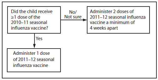 The figure above shows influenza vaccine dosing algorithm for children aged 6 months through 8 years for the 2011-12 influenza season, according to the Advisory Committee on Immunization Practices (ACIP). Children aged 6 months through 8 years who did not receive at least 1 dose of the 2010-11 seasonal influenza vaccine, or for whom it is not certain whether the 2010-11 seasonal vaccine was received, should receive 2 doses of the 2011-12 seasonal influenza vaccine.