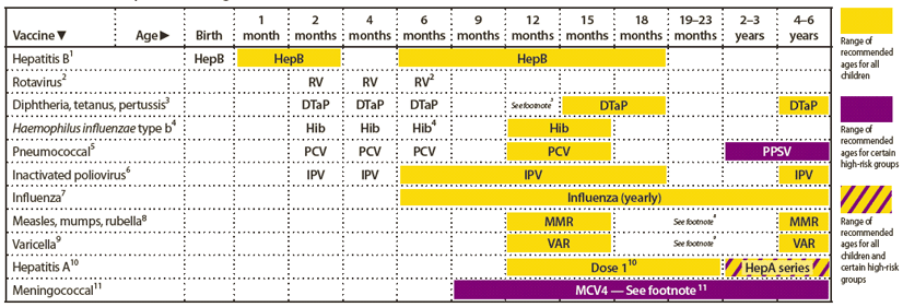 Immunization Age Chart