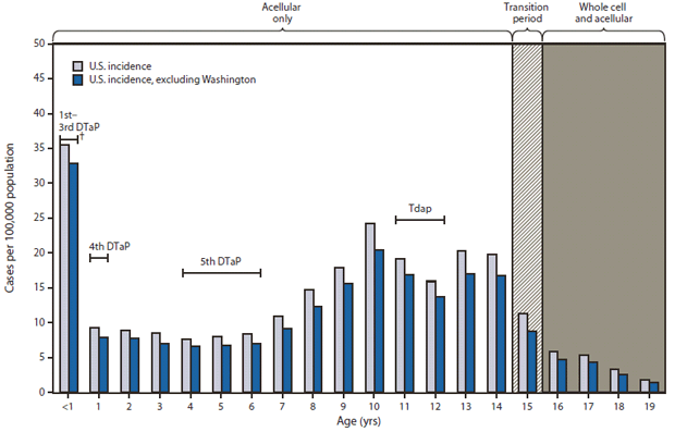 The figure shows the incidence of confirmed and probable pertussis among persons aged ≤years, by patient age and vaccines received in the United States, during January 1-June 14, 2012, according to the National Notifiable Diseases Surveillance System. Compared with the incidence in Washington, the national incidence for the same time period in 2012 was lower overall (4.2 cases per 100,000 population). However, the national incidence was increased among infants and children aged 10, 13, and 14 years, consistent with observations in Washington.