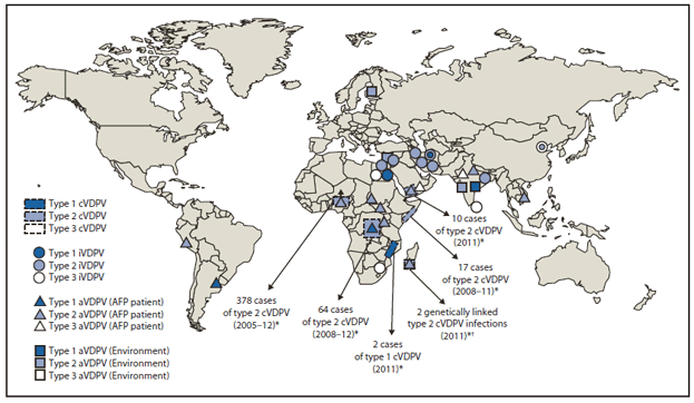 The figureshows vaccine-derived polioviruses (VDPVs) detected worldwide, during April 2011-June 2012. The number of countries with indigenous circulating VDPVs (cVDPVs) remained unchanged at six since the July 2009-June 2011 reporting period. Outbreaks in Afghanistan, Ethiopia, and India appeared to have stopped; outbreaks in Democratic Republic of the Congo and Somalia continued; a large outbreak in Nigeria abated; new outbreaks were detected in Mozambique and Yemen, and genetic evidence indicated renewed VDPV circulation in Madagascar. Apart from a cVDPV exported from Nigeria into neighboring Niger, no cVDPVs were exported from the countries of emergence. In all but Mozambique, the emerging cVDPVs were poliovirus serotype 2.