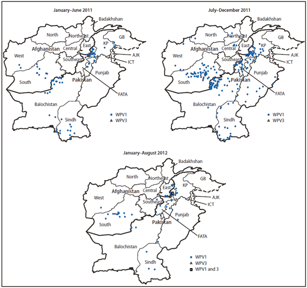 The figure shows cases of wild poliovirus types 1 (WPV1) and 3 (WPV3) in Afghanistan and Pakistan during January 2011-August 2012. In Afghanistan, 80 WPV1 cases were reported during 2011, compared with 25 WPV cases (17 WPV1, eight WPV3) in 2010; 17 WPV1 cases were reported during January-August 2012, compared with 34 WPV1 cases during the same period in 2011. In Pakistan, 198 WPV cases (196 WPV1, two WPV3) were reported during 2011, compared with 144 WPV cases (120 WPV1, 24 WPV3) during 2010; 30 WPV cases (27 WPV1, two WPV3, and one case with isolation of both WPV1 and WPV3) were reported during January-August 2012, compared with 88 during the same period in 2011.