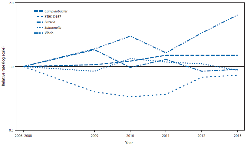 The figure above shows relative rates of culture-confirmed infections with Campylobacter, Shiga toxin–producing Escherichia coli O157, Listeria, Salmonella, and Vibrio compared with 2006–2008 rates, by year, in the United States during 2006–2013. Compared with 2006–2008, the 2013 incidence was significantly higher for Campylobacter and Vibrio.