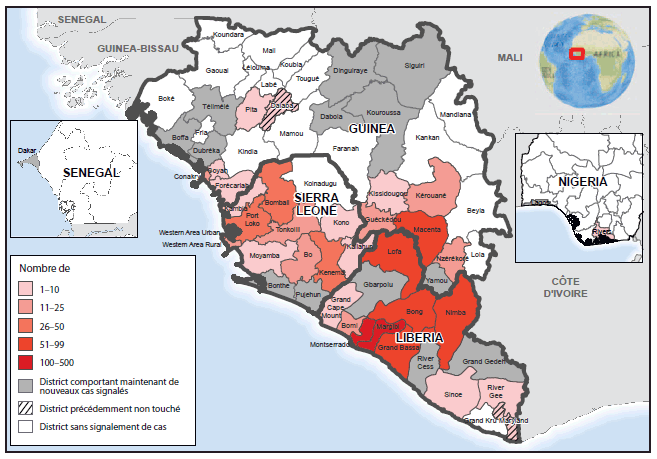 Texte alternatif : la figure ci-dessus est une carte d’Afrique de l’Ouest illustrant le nombre de nouveaux cas de maladie à virus Ébola signalés entre le 31 août et le 20 septembre 2014. La répartition géographique du nombre de cas d’Ébola signalés entre le 31 août et le 23 septembre indique que les nombres de cas récents restent élevés dans les zones où le Liberia, la Sierra Leone et la Guinée se rejoignent.