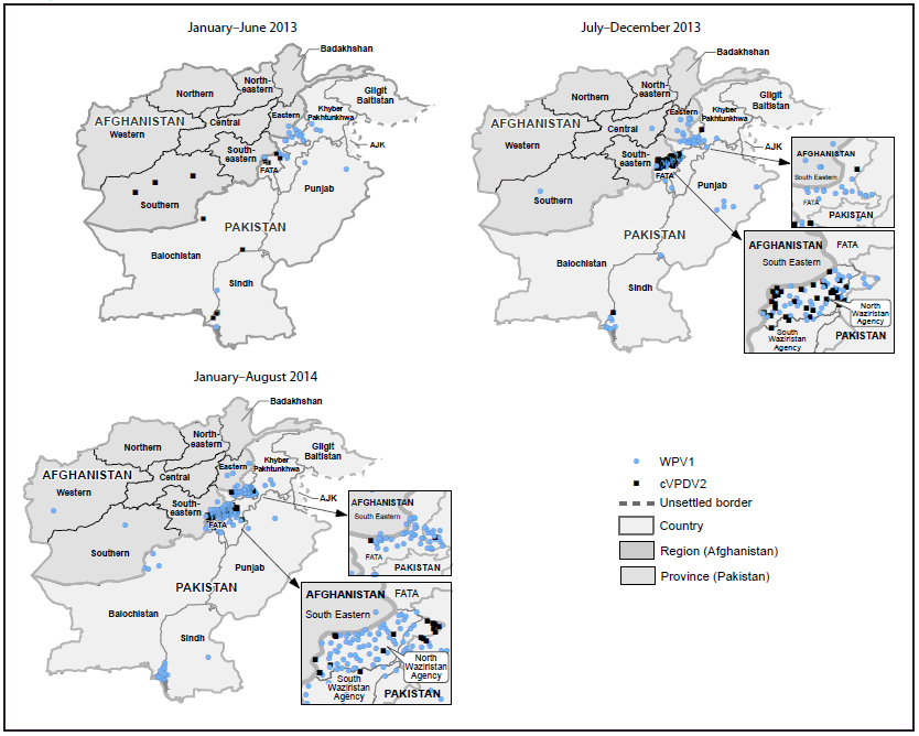 The figure above is a map showing cases of wild poliovirus type 1 and circulating vaccine-derived poliovirus type 2 in Afghanistan and Pakistan during January 2013-August 2014.