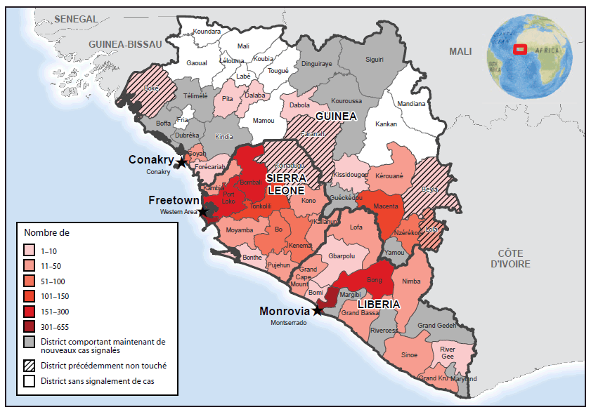 La figure ci-dessus est une carte d’Afrique de l’Ouest illustrant le nombre de nouveaux cas de maladie à virus Ébola signalés entre le 28 septembre et le 18 octobre. Les nombres de cas d'Ébola signalés étaient les plus élevés dans la région autour de Monrovia et le district de Bong, au Libéria, dans la région de Freetown et les districts du nord-ouest de la Sierra Leone, et dans le quartier de Macenta, en Guinée.