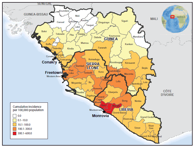 The figure above is a map showing cumulative incidence of Ebola virus disease in Guinea, Liberia, and Sierra Leone on November 30, 2014. The highest cumulative incidence rates (>100 cases per 100,000 population) were reported by two prefectures in Guinea (Guéckédou and Macenta), six counties in Liberia (Bong, Grand Cape Mount, Lofa, and, particularly, Bomi, Margibi, and Montserrado, with cumulative incidence of >300 cases per 100,000 population), and six districts in Sierra Leone (Bombali, Kailahun, Kenema, Port Loko, Tonkolili, and Western Area).