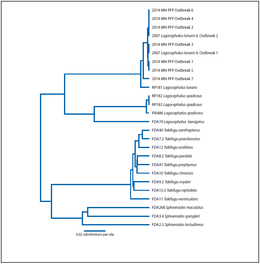 The figure above is an unweighted pair-group method with arithmetic mean (UPGMA) tree showing the genetic analysis of dried puffer fish samples involved in a tetrodotoxin poisoning outbreak in Minneapolis, Minnesota, in 2014. The genetic analysis determined that all samples were Lagocephalus lunaris.