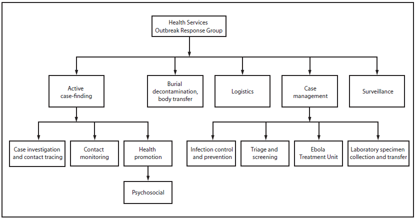 The figure above is an organization chart for the Firestone Health Services Ebola Outbreak Response Group. On March 31, 2014, following the report of the first Ebola case diagnosed in the Firestone plantation, the company established an incident management system to coordinate a comprehensive response to the outbreak using the existing organizational framework of the company in Liberia.
