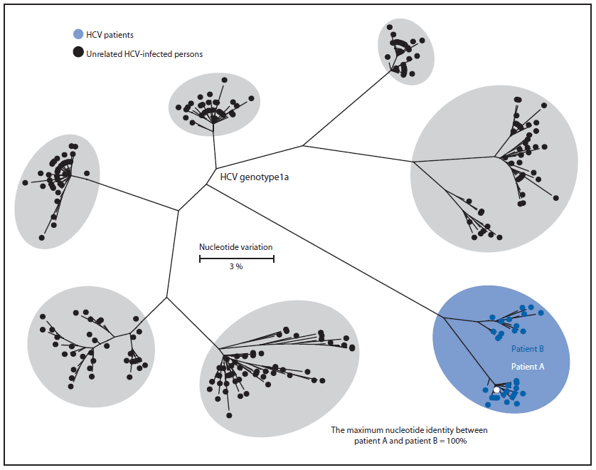 The figure above is a phylogenetic tree of the E1-HVR1 genomic region of hepatitis C virus (HCV) specimens from two patients and six randomly selected unrelated controls infected with HCV genotype 1a, indicating that patient B was the likely source of patient A's infection in New Jersey in 2010.