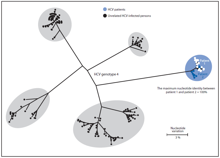 The figure above is a phylogenetic tree of the E1-HVR1 genomic region of hepatitis C virus (HCV) specimens from two patients and four randomly selected unrelated controls infected with HCV genotype 4, indicating that patient 2 was the likely source of patient 1's infection in Wisconsin in 2011.