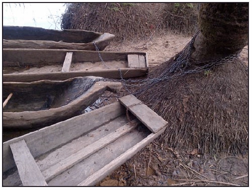 The figure above is a photograph showing community canoes chained to trees for the duration of the community quarantine period in the village of Mawah in Bong County, Liberia, in 2014.