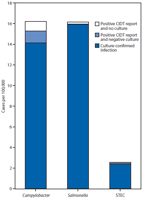 The figure above is a bar chart showing incidence of culture-confirmed bacterial infections and positive culture-independent diagnostic test (CIDT) reports, by selected pathogen in the United States during 2012-2013. The incidence of culture-confirmed infections with Campylobacter was 14.1 per 100,000 population, compared with 2.1 for positive CIDT reports with no culture or negative culture. For Salmonella, the incidence was 16.0 per 100,000 population for culture-confirmed infections and 0.2 for positive CIDT reports with no culture or negative culture, and for Shiga toxin-producing Escherichia coli, the incidence was 2.4 per 100,000 population for culture-confirmed infec¬tions and 0.21 for positive CIDT reports with no culture or negative culture.