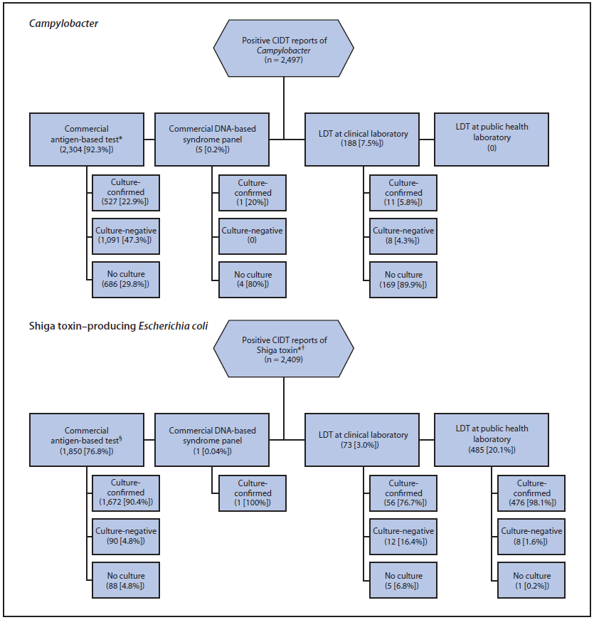 The figure above is a flow chart showing positive culture-independent diagnostic test (CIDT) reports of Campylobacter and Shiga toxin-producing Escherichia coli (STEC), by test type and culture result, in the United States during 2012-2013. Among 2,497 positive CIDT reports of Campylobacter, 2,304 (92.3%) were detected using commercial antigen-based tests; among 1,618 antigen-positive specimens that were cultured, 1,091 (67%) were culture-negative. Among 2,409 positive CIDT reports of STEC, 1,850 (77%) were detected using commercial antigen-based tests. Among 308 positive CIDT reports for Salmonella, 303 (98%) were detected using an LDT in a clinical laboratory