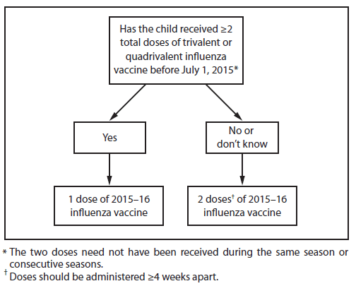 The figure above is a flow chart showing an influenza vaccine dosing algorithm for children aged 6 months through 8 years in the United States for the 2015-16 influenza season. An asterisk footnote symbol appears at the end of the statement, "Has the child received ¬2 total doses of trivalent or quadrivalent influenza vaccine before July 1, 2015?" The corresponding footnote reads, "The 2 doses need not have been received during the same season or consecutive seasons." Also, a dagger footnote symbol appears immediately after the phrase "2 doses" in the following statement, "2 doses of 2015-16 influenza vaccine." The corresponding footnote reads, "Doses should be administered 4 weeks apart."