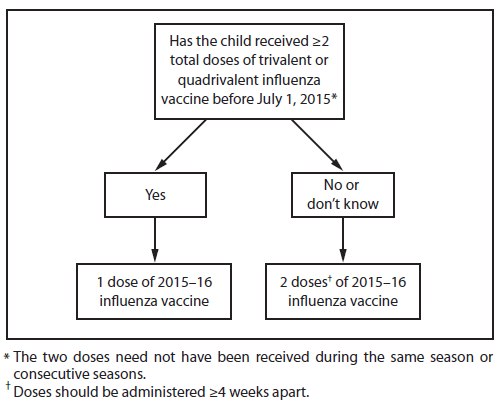 Influenza Decision Chart