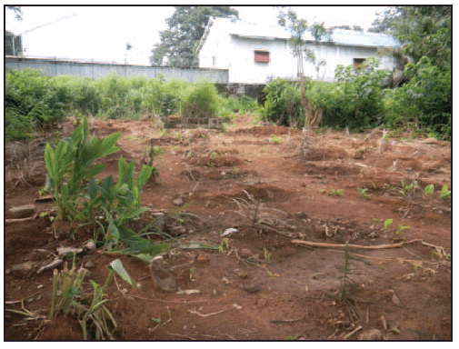 The figure is a photograph of unmarked graves in an Ebola burial section of a cemetery in Sierra Leone in September 2014.