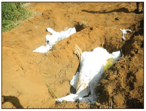 The figure is a photograph of dead bodies, personal protective equipment, and medical waste buried together in unmarked graves at an unsafe depth of <2 meters in Sierra Leone in September 2014.
