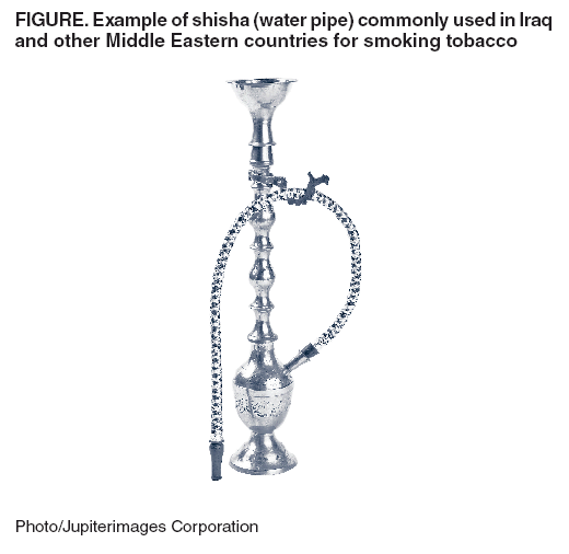 FIGURE. Example of shisha (water pipe) commonly used in Iraq and other Middle Eastern countries for smoking tobacco