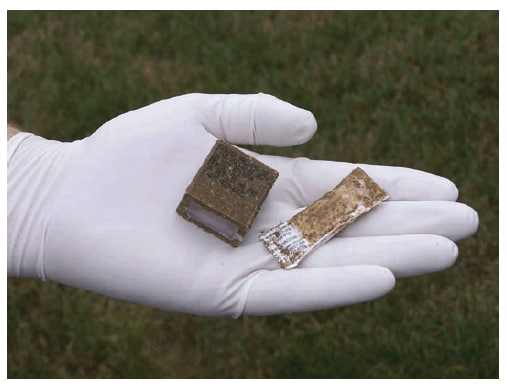 The figure is a photograph of a gloved hand holding a raccoon rabies vaccine bait, which consists of a fishmeal block and the sealed plastic packet that is encased inside the block and contains the vaccine. 
