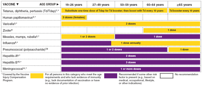 The figure shows the recommended adult immunization schedule, by vaccine and age group for the United States in 2010.