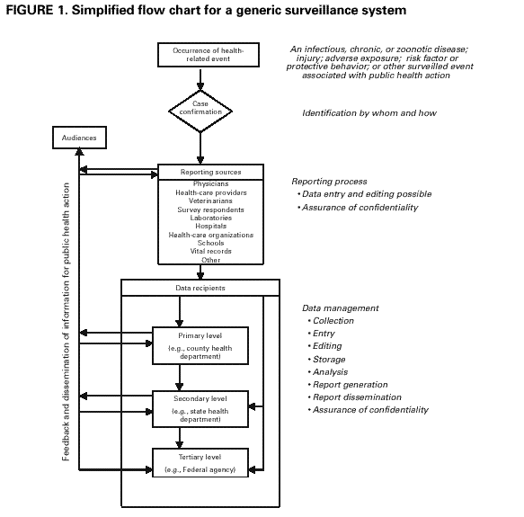 Government Monitoring Information Flow Chart