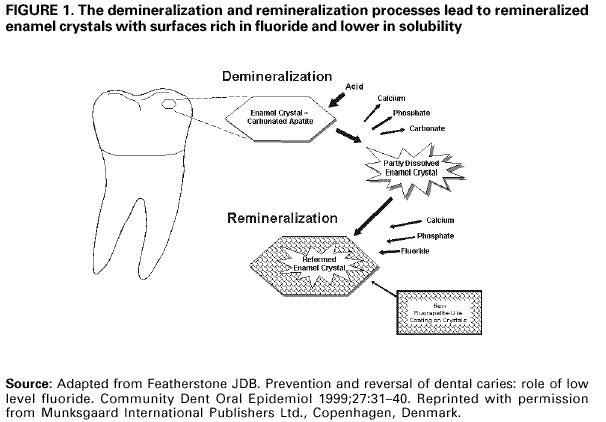 Fluoride Supplement Chart