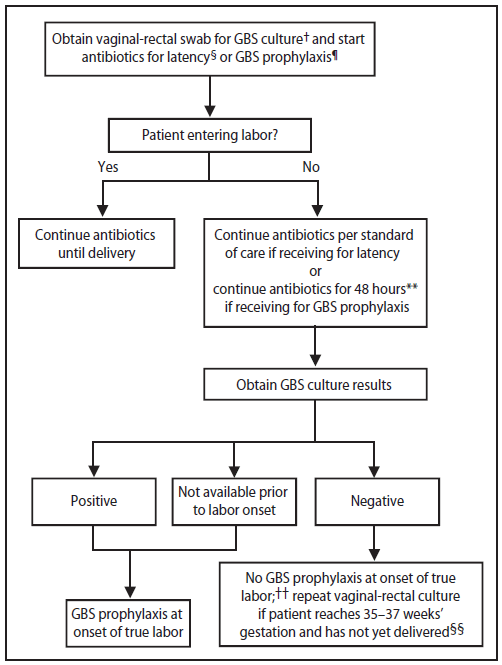 The figure presents an algorithm for clinicians to use to determine whether to administer GBS intrapartum prophylaxis for women with preterm pPROM.